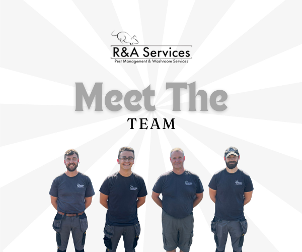 The R&A Services team